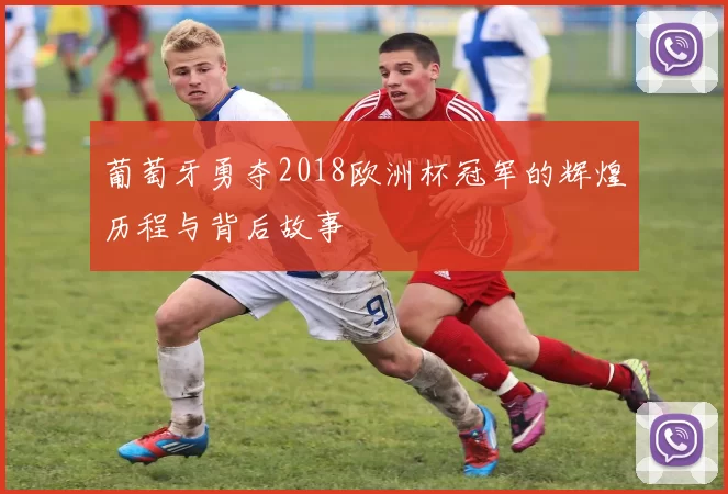 葡萄牙勇夺2018欧洲杯冠军的辉煌历程与背后故事